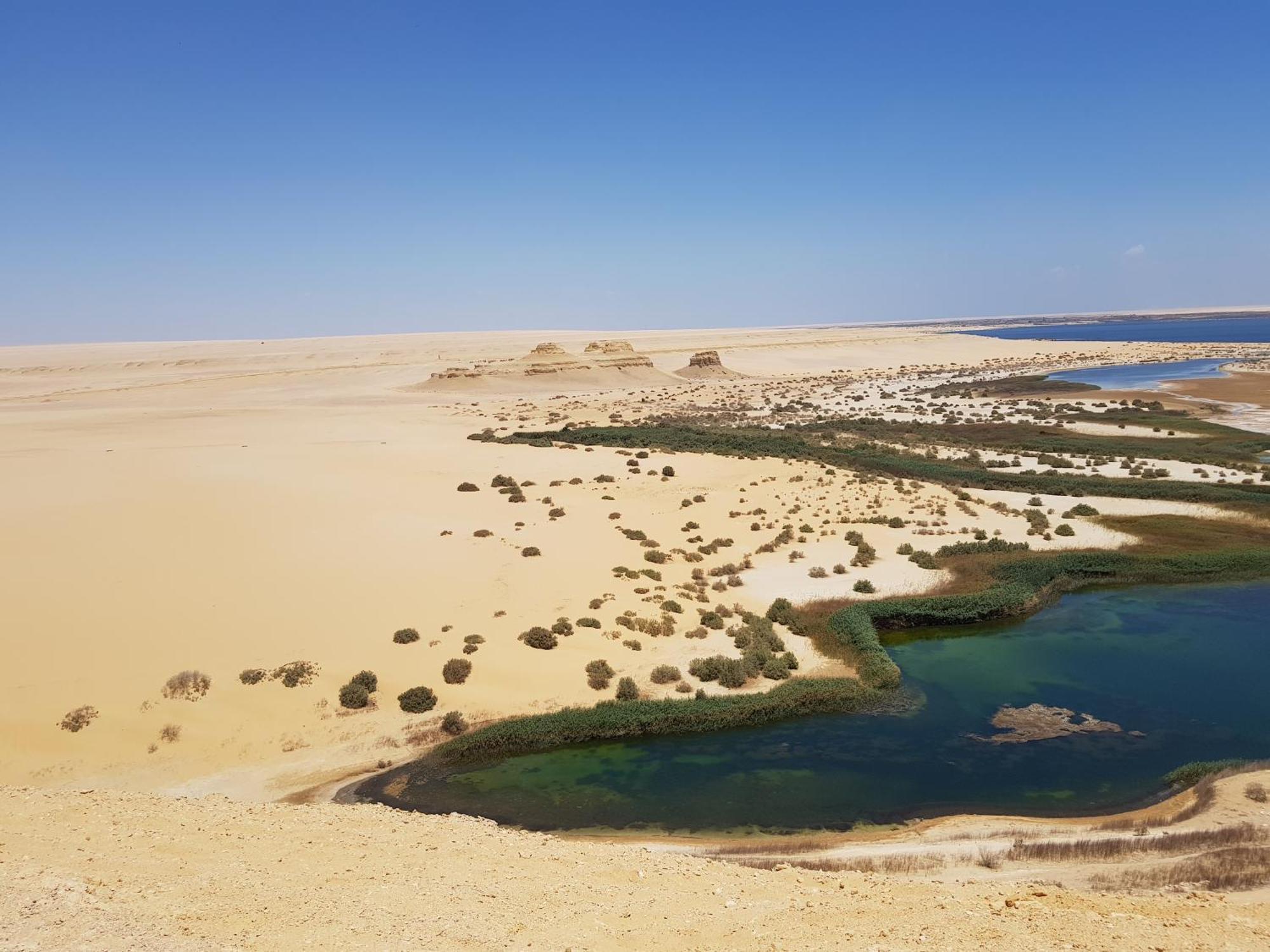 Maged Pyramids View Inn Kafret el-Gabal Exteriör bild